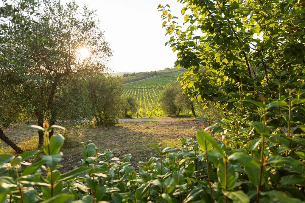 Tenuta Di Monaciano Ponte A Bozzone Exterior photo