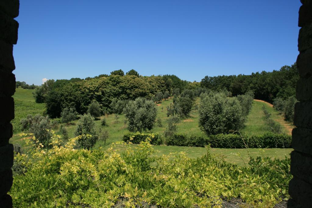 Tenuta Di Monaciano Ponte A Bozzone Room photo